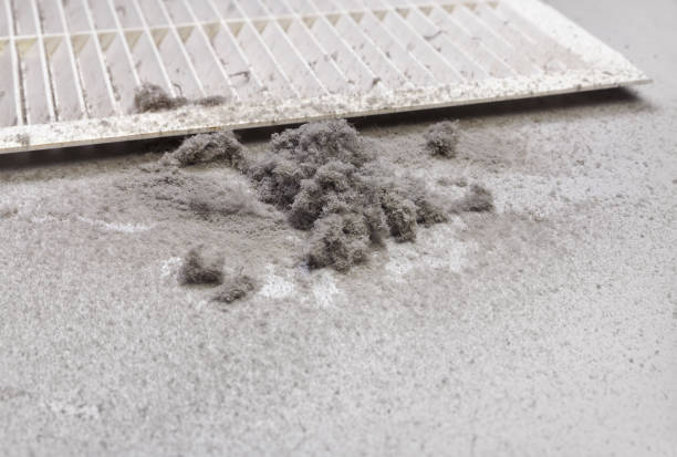 Best Home Air Vent Cleaning  in Heflin, AL