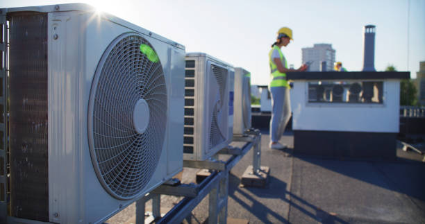 Best Air Duct Mold Removal  in Heflin, AL